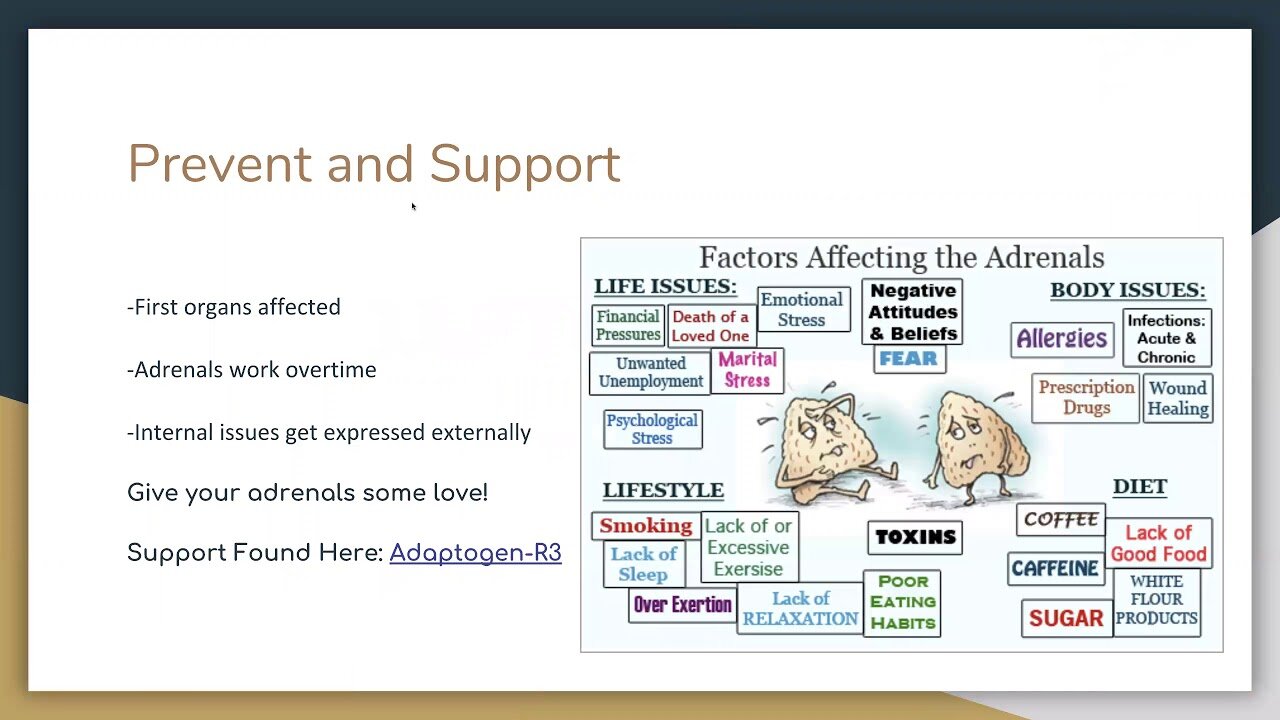 Adaptogen R3 - Ashley | Dr. Kevin Conners - Conners Clinic