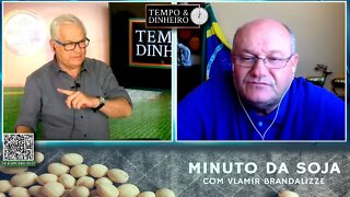 Milho abre boas oportunidades nesta semana