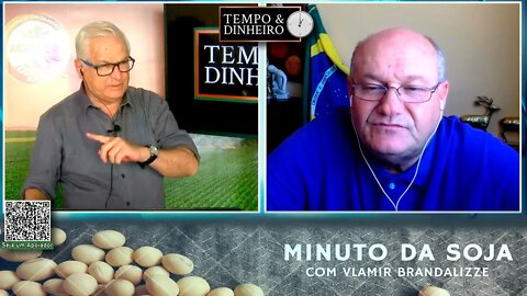 Milho abre boas oportunidades nesta semana
