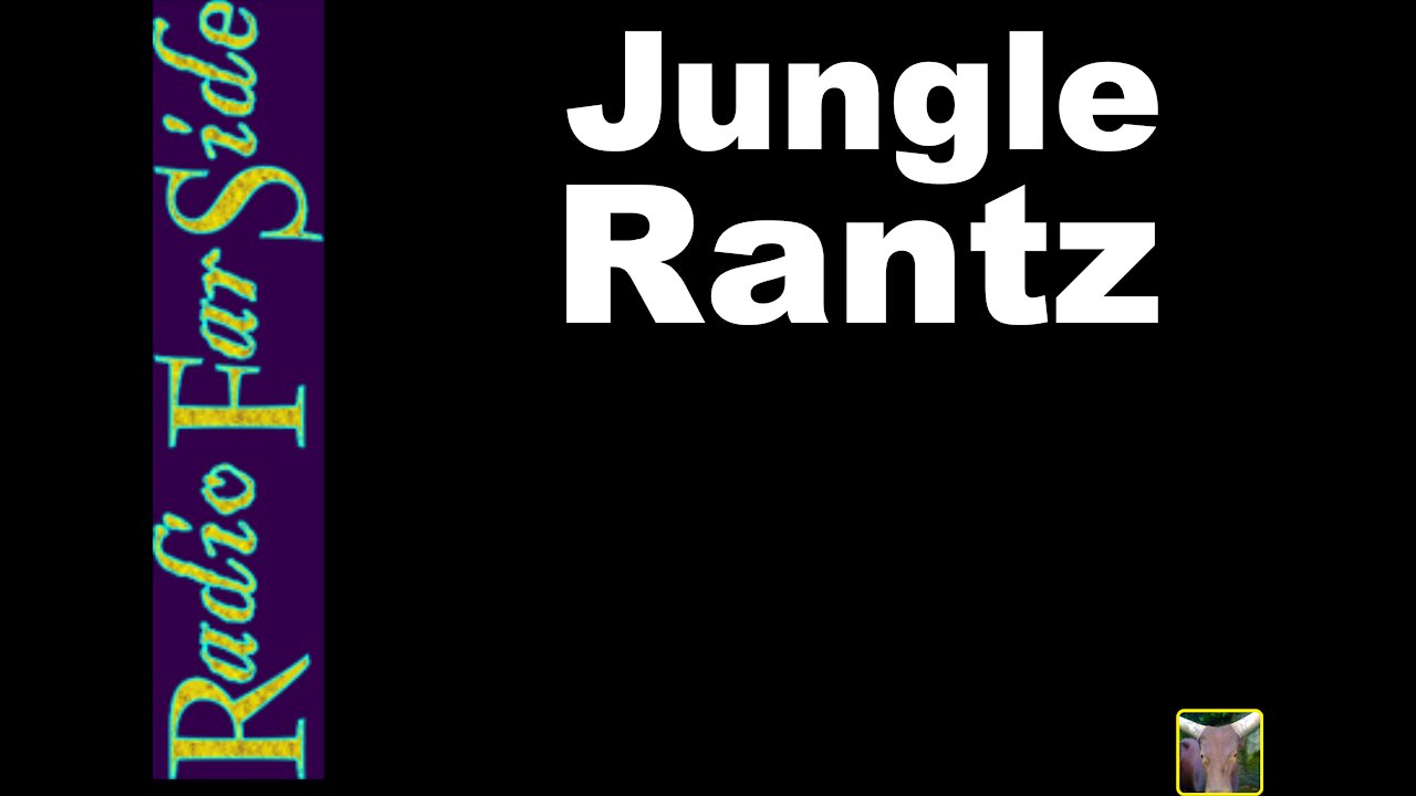 Jungle Rantz | Insanity