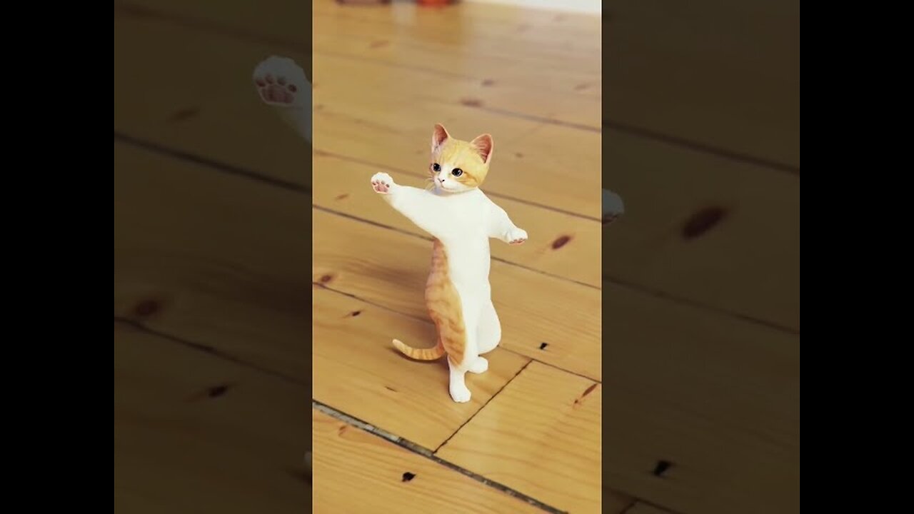 Funny Cat Dance 🤣🤣🤣🤣