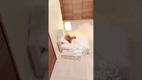 ELE FINGIU QUE TAVA DORMINDO E FUI PRO TIKTOK #SHORTS