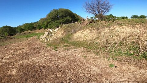 04/20/21, Austin wildflowers are starting to pop.