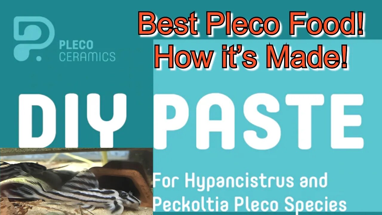 How to Make Pleco Ceramics Pleco Paste #AquaMalik #FishFood for #ZebraPleco #Hypancistrus #Pleco