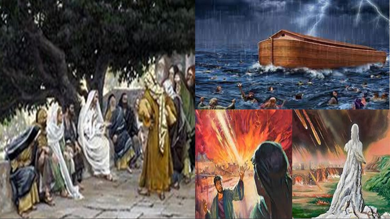 New Testament In A Year - Day 114