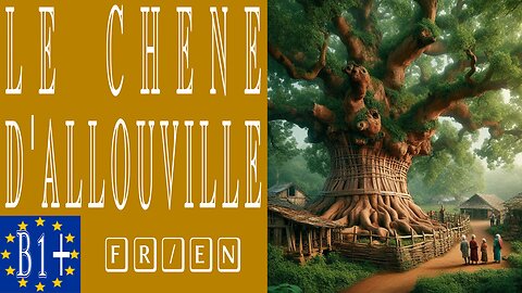 À la découverte du chêne d’Allouville