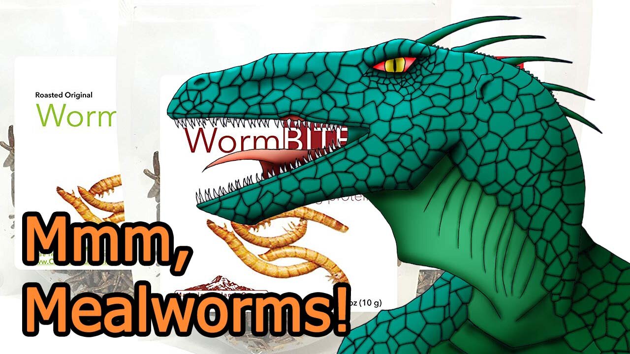 ZeroRaptor Eats Mealworms