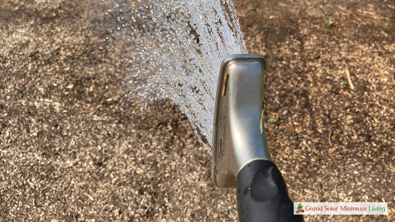 Garden Watering Tips for Consistent and Thorough Coverage