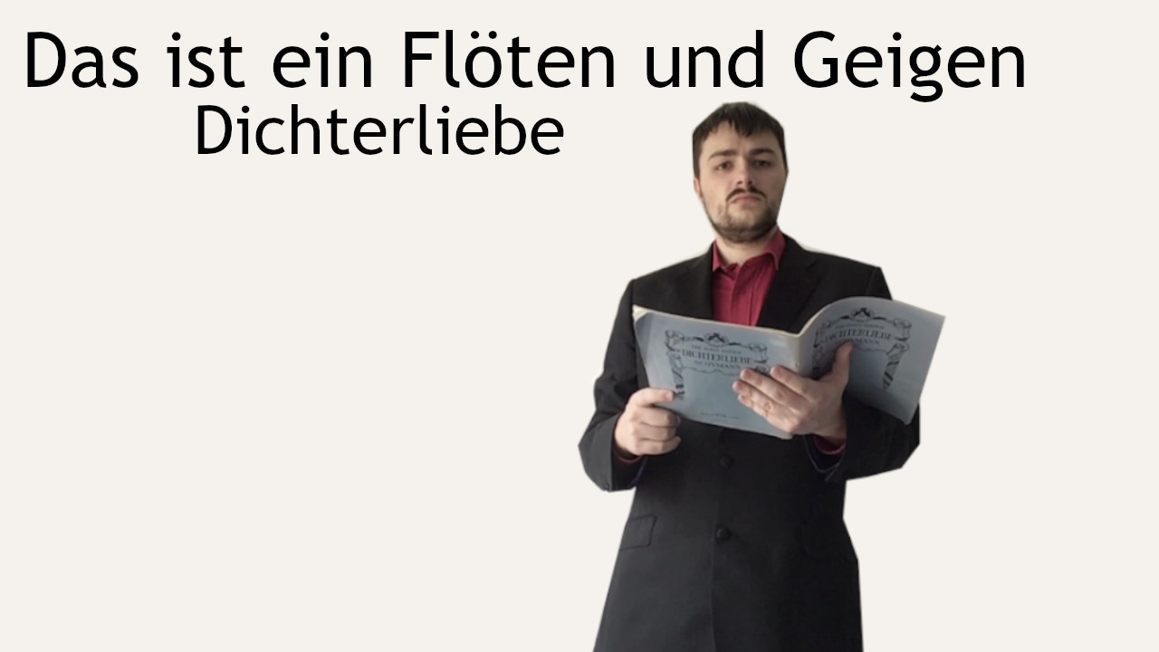 Das ist ein Flöten und Geigen - Dichterliebe - Robert Schumann