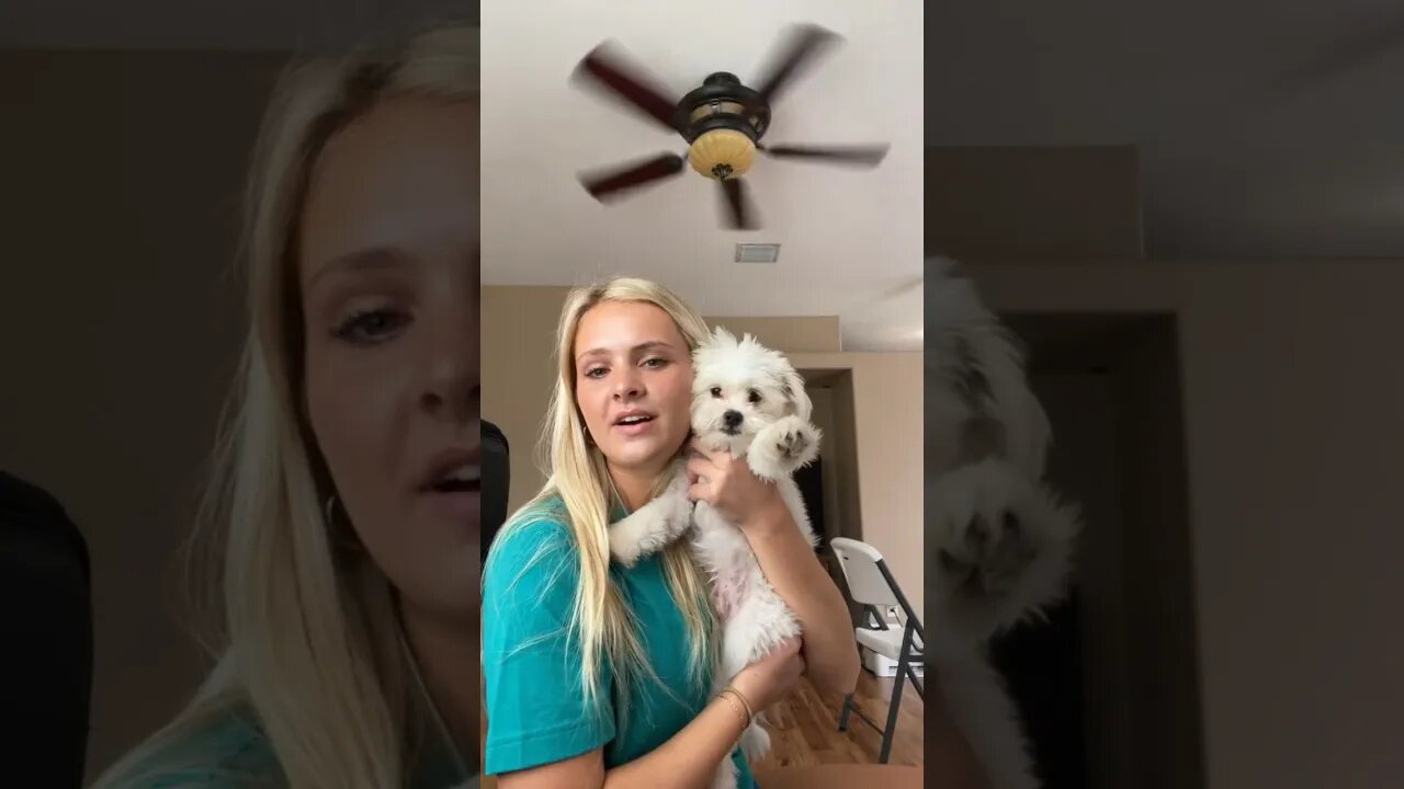 challenge! #subscribe #youtubeshorts #new #trending #alexia #viral #foryou #shortsfeed #shorts #hair