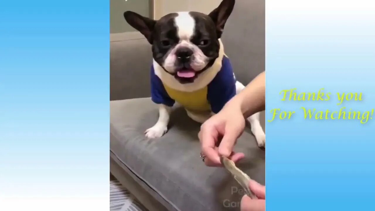 try not to laugh 🤣🤣