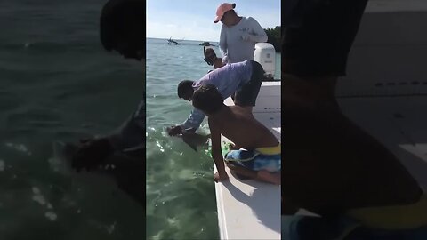 Shark Took his Finger 😳 #shortsvideo #shortsfeed #nature #shortviral #shorts
