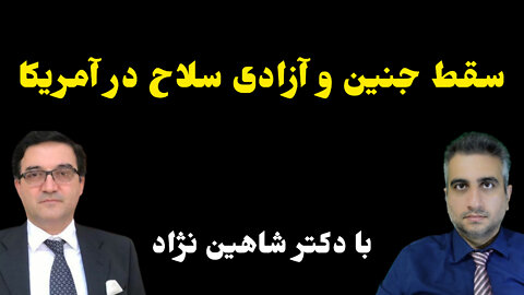 سقط جنین و آزادی سلاح در امریکا