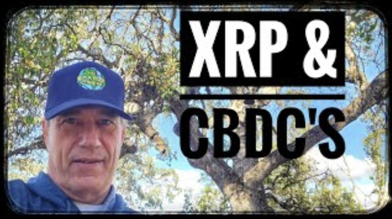 XRP CBDC by Allan Staple with The Staple Crew