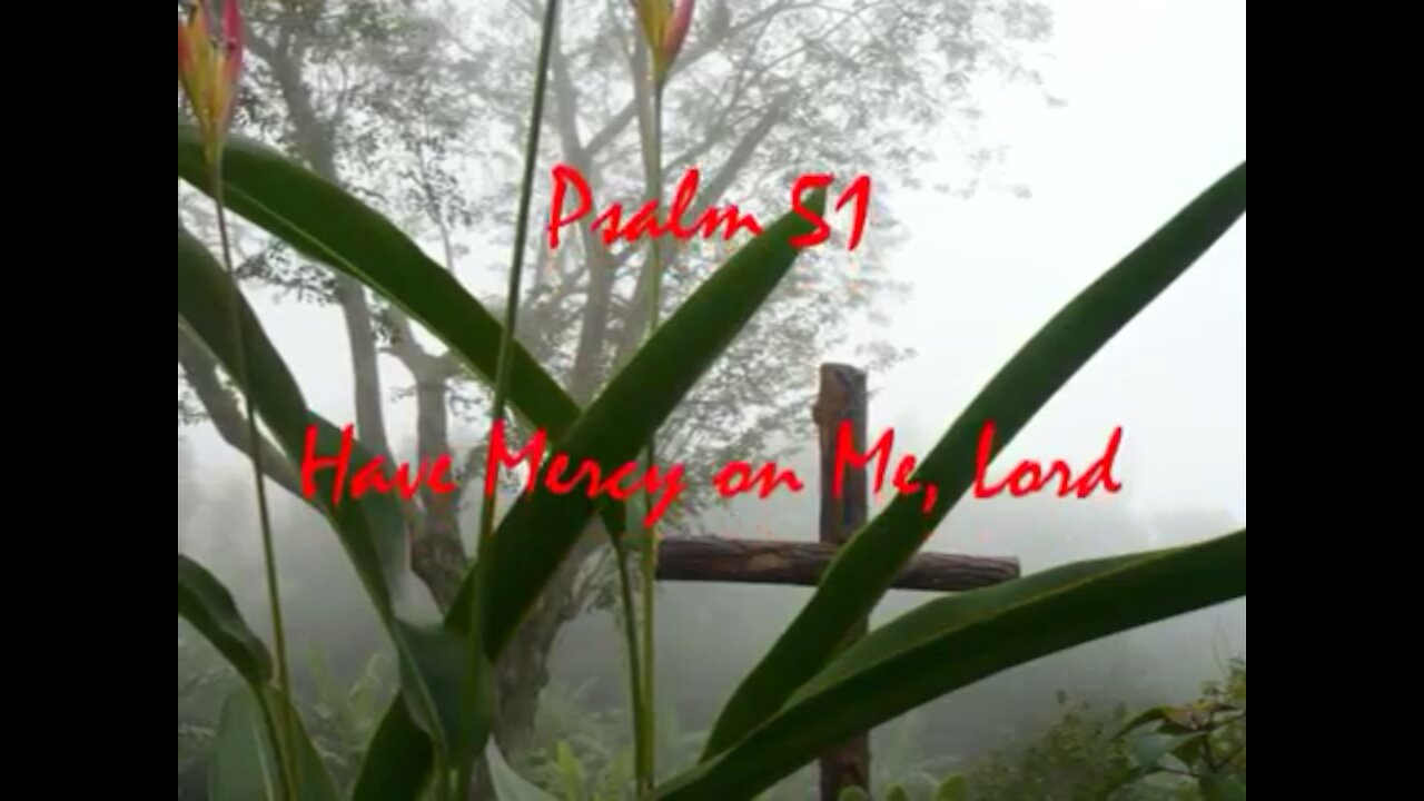 Psalm 51 have mercy on me Lord by John Michael T. ❤️