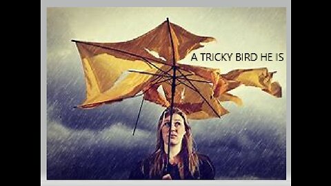 A TRICKY BIRD HE IS #513