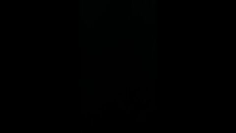 Stand for sound money