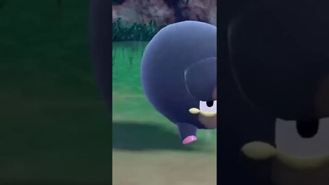 Pokémon Violet - Lechonk Used Tackle! (Attacks Opposing Pokémon With All It's Body)