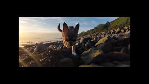 "Even if the Sky is falling down"