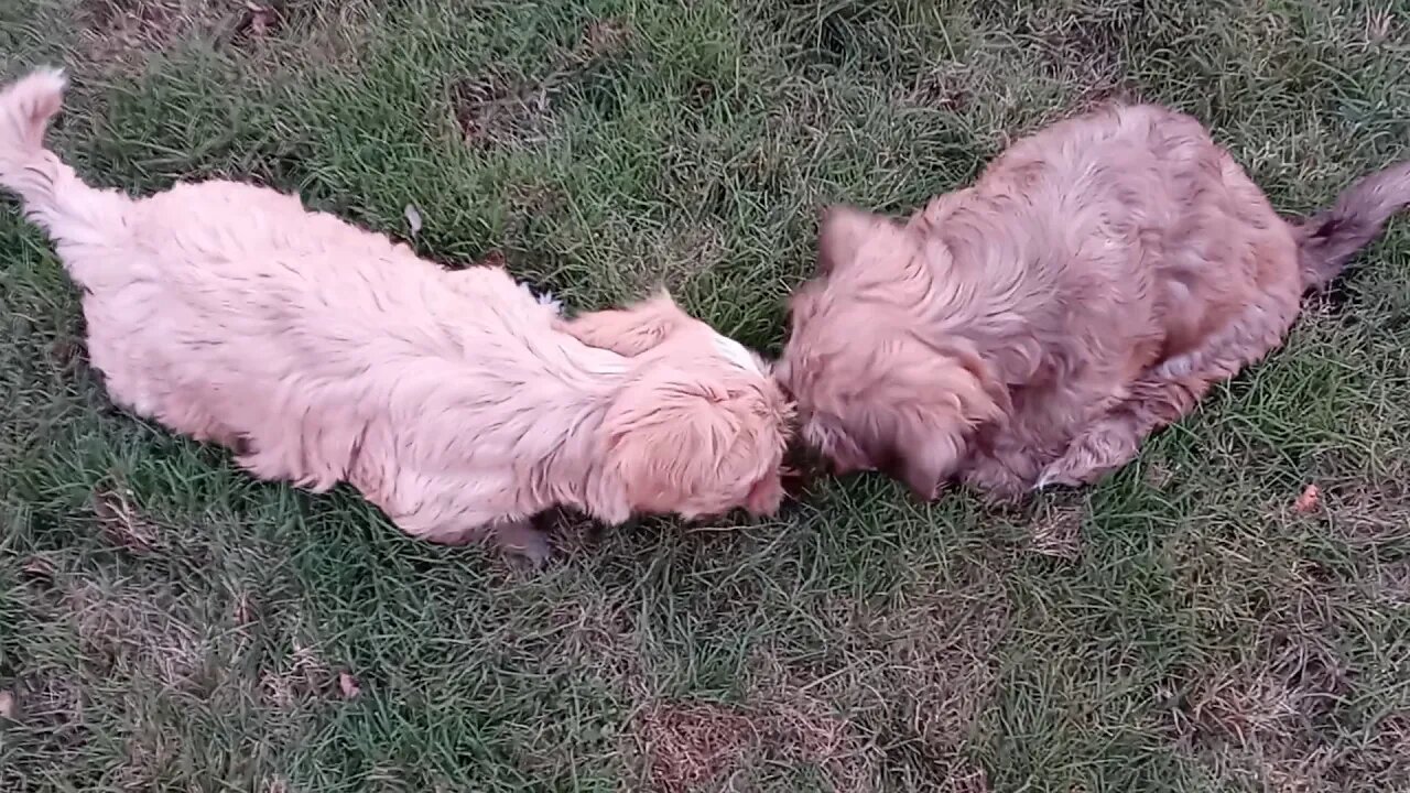 J Litter - Playing Outside(2)