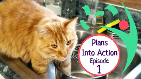 Plans into action 2020: a 15-month daily journey to health, wealth, and happiness Episode 1