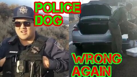 "Dog hit" yet again, nothing found
