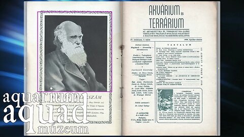 Akvárium-antikvárium 38 / Akvárium és terrárium 1959/2. (IV. évfolyam)