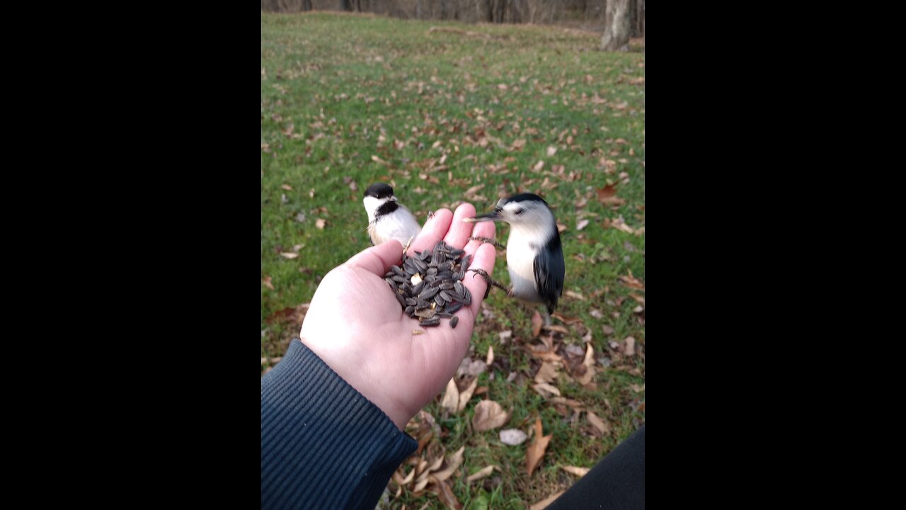 A moment in nature.