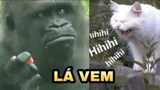 QUANDO EU TÔ COMENDO E VEJO MEU AMIGO PIDÃO CHEGANDO🤣🤣🤣