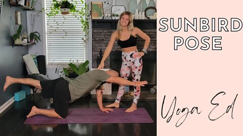 How to do Sunbird Pose? | Sunbird Pose AKA Chakravakasana | Yoga Education with Stephanie