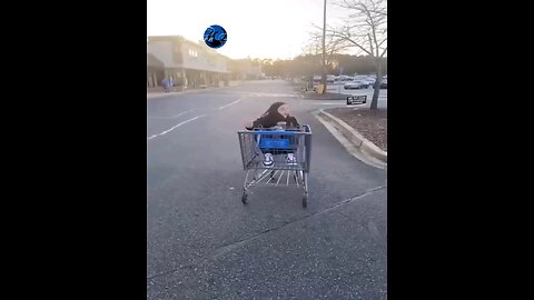 That's fantastic Part 3