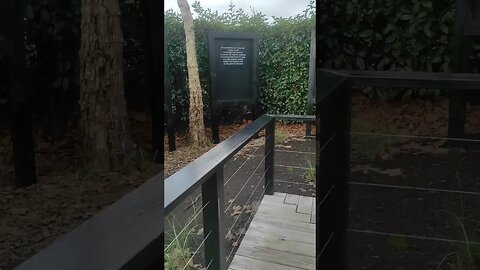 Steve Jobs monument Scultureum sculpture park
