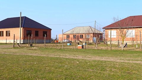 Russia pets in the village sounds of the village singing of birds and roosters