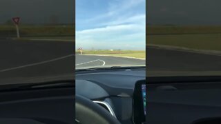 Você já viu águia no meio de Urubu ? #shorts