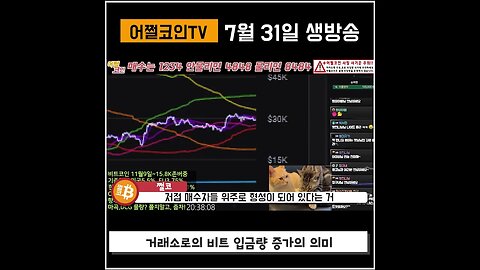 거래소 입금량 증가세로 전환|쩔코TV 7월 31일 #숏츠