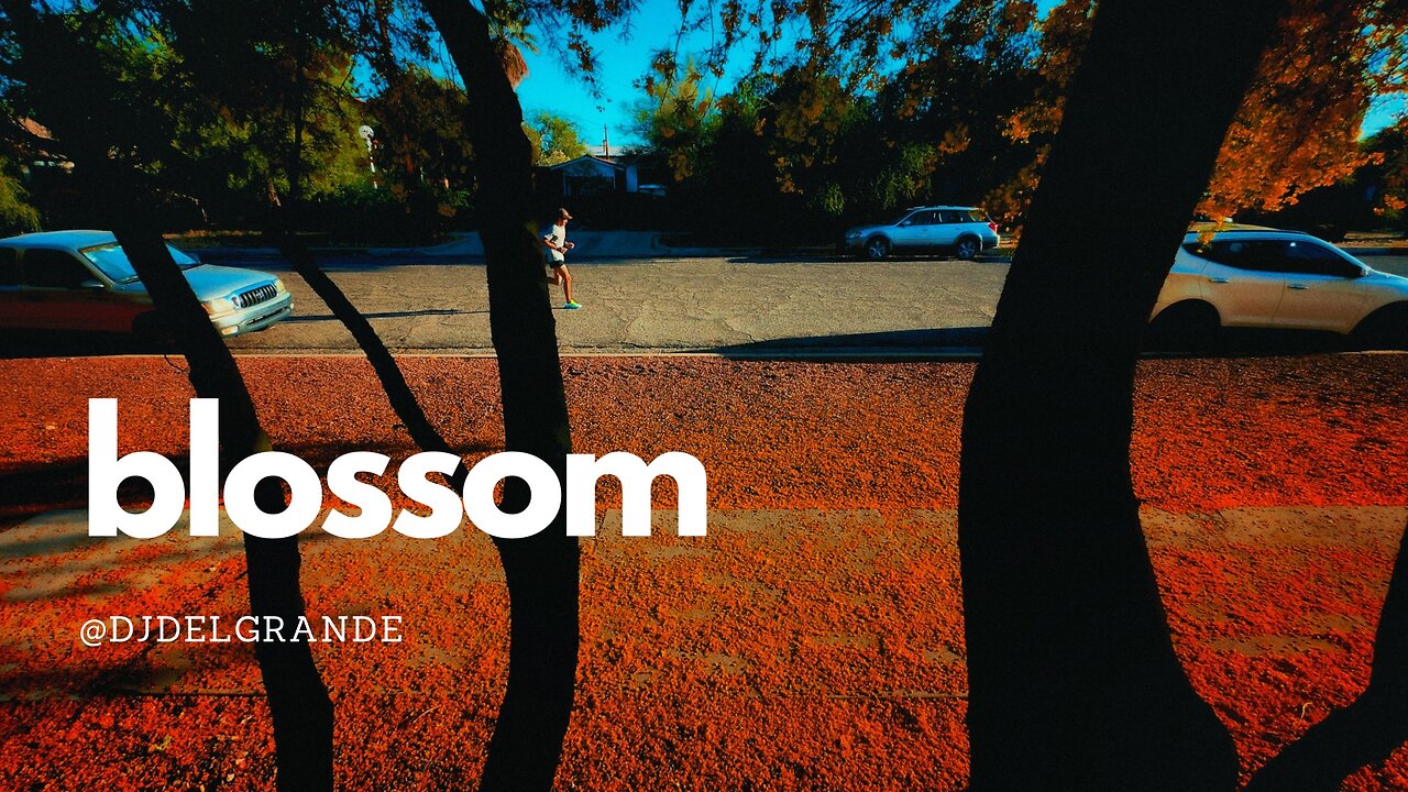 Take Street Photography to the Next Level - Start Here!