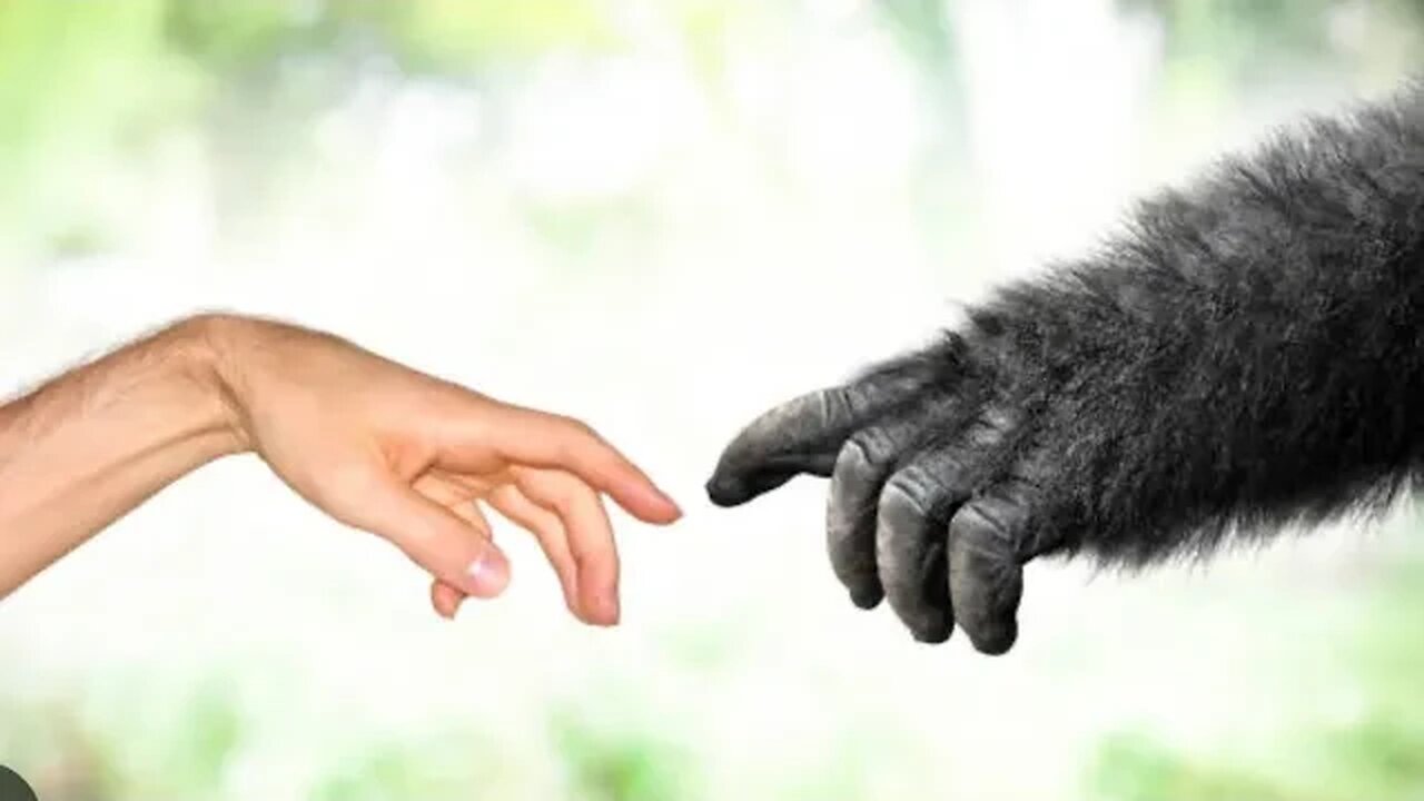 We NOW HAVE MONKEY HANDS 🙌thanks to the Mandela effect 😪😪