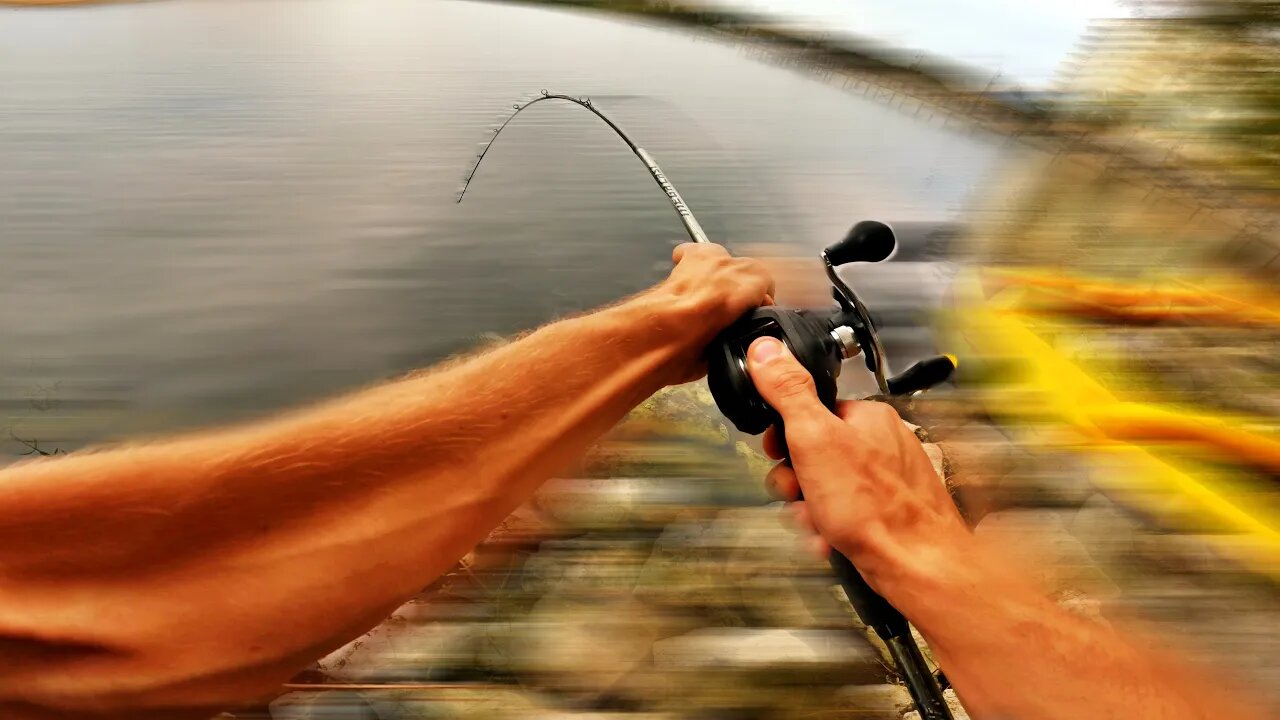 Snagging Invasive Catfish in Florida