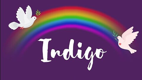 Operation Indigo Attacked By LGBTQ Counter Protestors + Our Call To Action