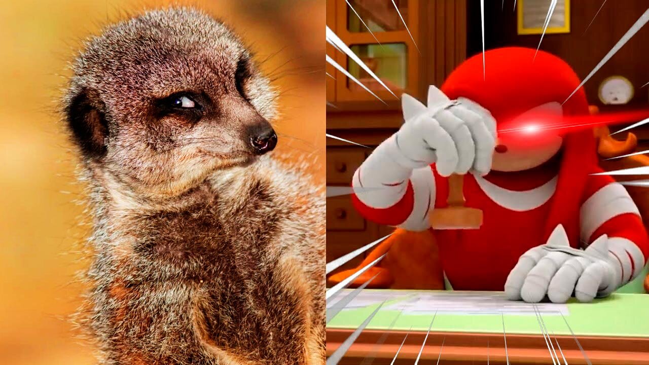 Knuckles Rates Animals | Knuckles' Surprising Take on Animals: You Won't Believe What He Says!