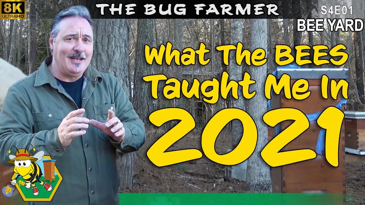 8k 2021 Review | What the bees taught me and plans for 2022. #beekeeping #8k