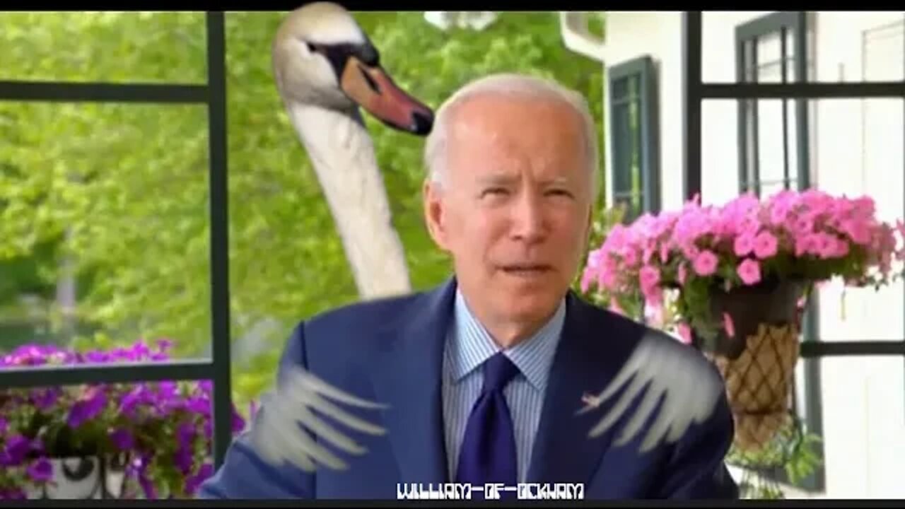 Creepy Joe's basement campaigning is not going so well...