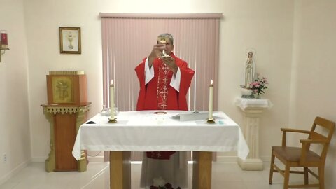 June 28 - Mass of Saint Ireneus