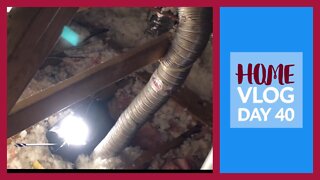 Home Vlog Day 40 - CO Guy Stuff