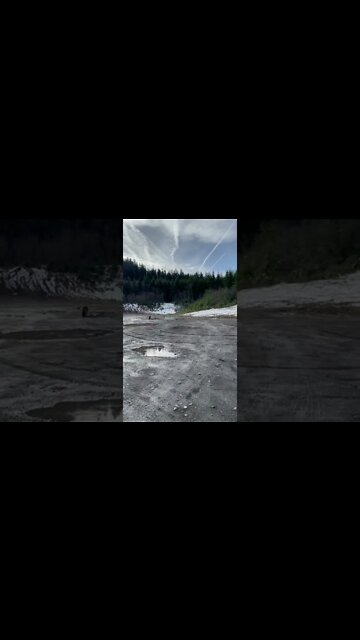 #shorts #2022 funny,prank,funjokes,dad jokes,funny memes,funny video,fun,laughing,funny animal,knock