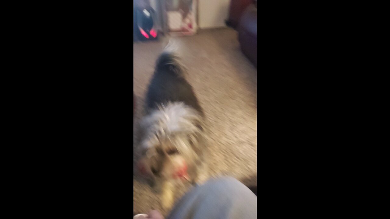 playing with my Sadie Rose