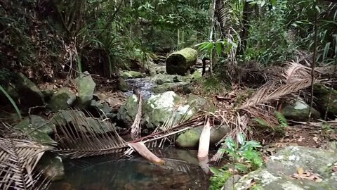 Who Wants to Go Beyond Psychedelics? (Video Journal)