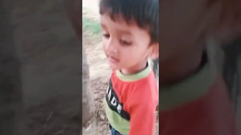 child original Vlog vol6 #rudrakrishna #ytshorts #trending #viral #dog @rudrakhatanagurjjar