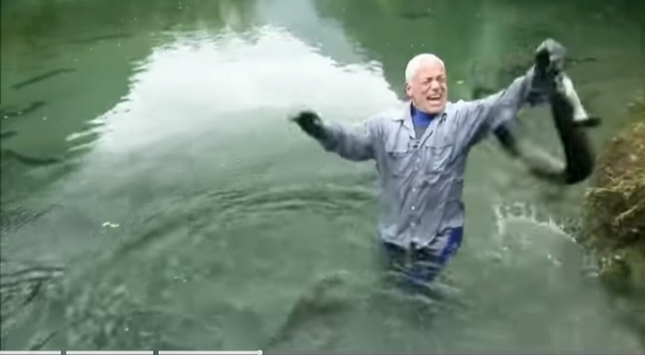 Electric eel zap crocodile to death