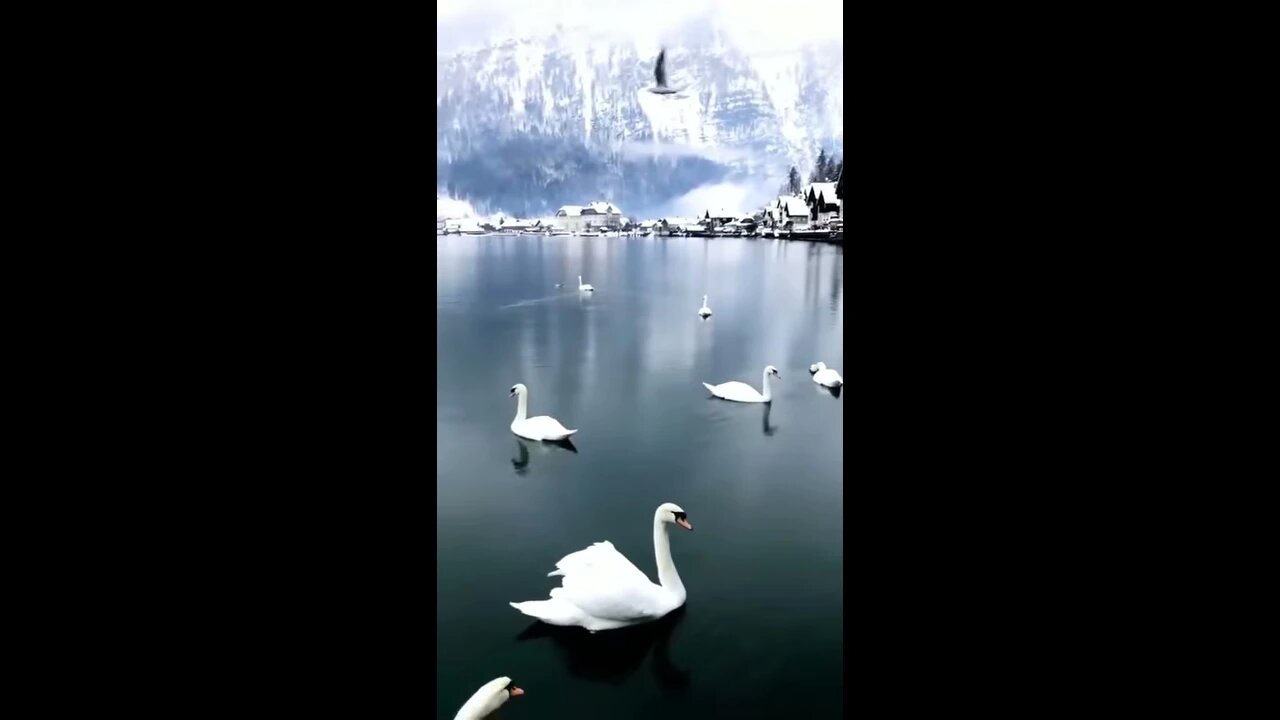 Hallstatt in the snow